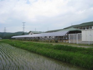 太陽光パネル(巻堀小学校) 巻堀小学校の太陽光パネル
