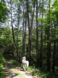 初夏の二ツ森コース