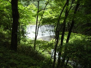 大志田・中津川コース