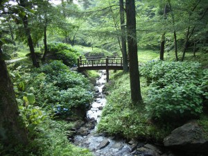 白滝コース（白滝親水公園）